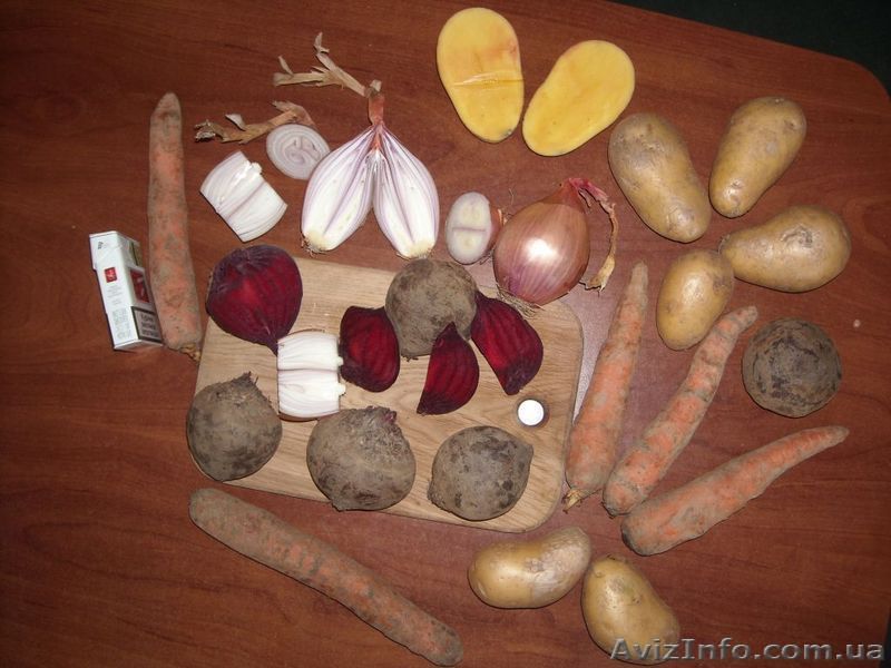 Морковка Буряк Капуста пекинская Картошка Лук - <ro>Изображение</ro><ru>Изображение</ru> #1, <ru>Объявление</ru> #18474