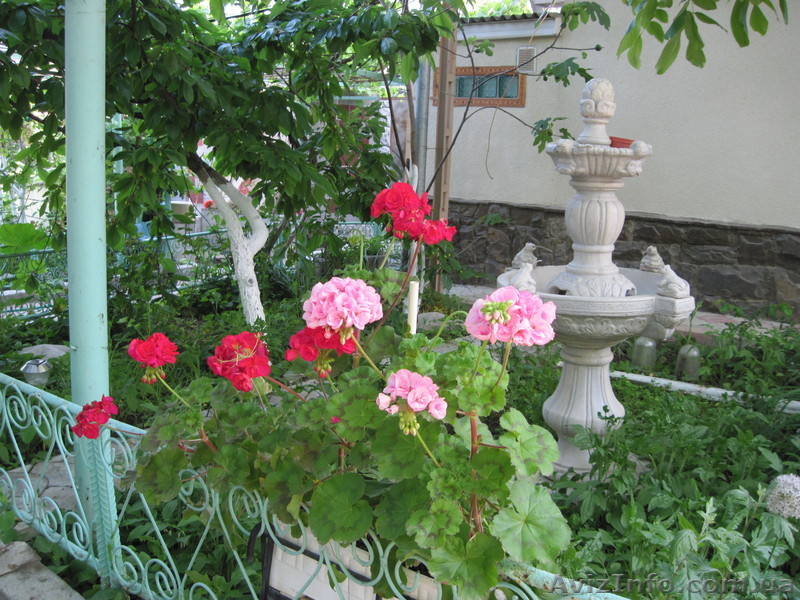 Семейный отдых в Судаке - <ro>Изображение</ro><ru>Изображение</ru> #1, <ru>Объявление</ru> #35840