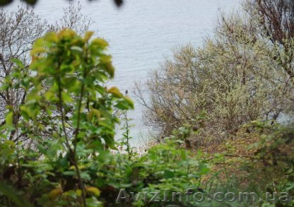 Участок под строительство гостиницы и апартаментов на берегу моря , Севастополь. - <ro>Изображение</ro><ru>Изображение</ru> #1, <ru>Объявление</ru> #92106