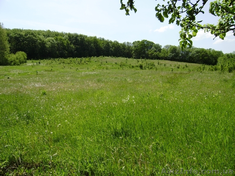 Продается участок в живописной части Крыма - <ro>Изображение</ro><ru>Изображение</ru> #1, <ru>Объявление</ru> #101648