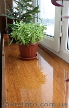 Немецкие подоконники - <ro>Изображение</ro><ru>Изображение</ru> #1, <ru>Объявление</ru> #208770