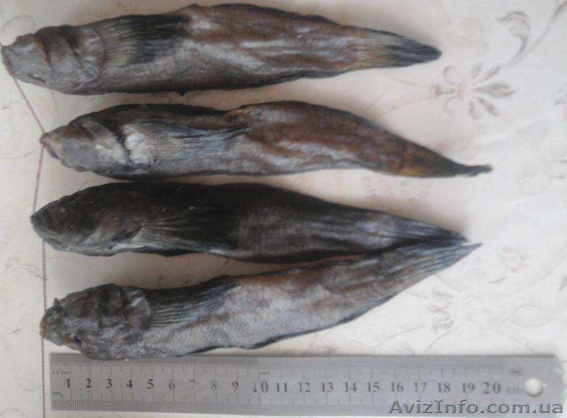 бычок морской соленый с азовского моря - <ro>Изображение</ro><ru>Изображение</ru> #1, <ru>Объявление</ru> #276556