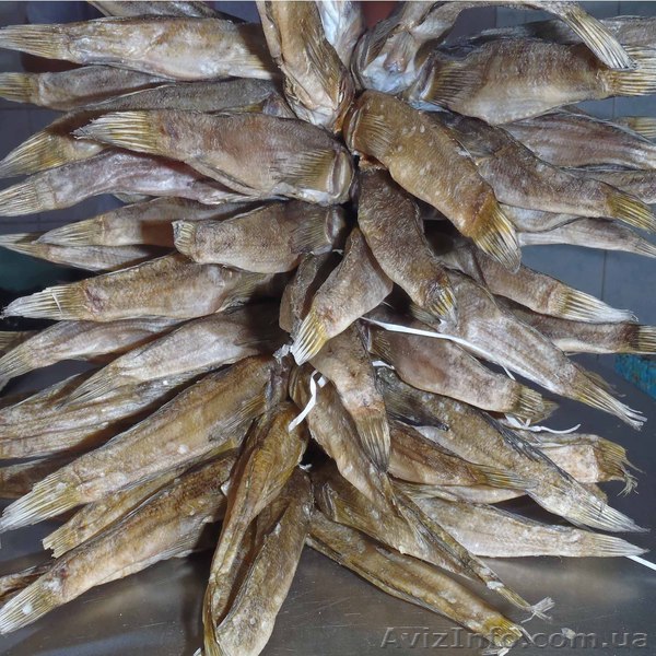 kerch-fish@mail.ru - <ro>Изображение</ro><ru>Изображение</ru> #1, <ru>Объявление</ru> #347088