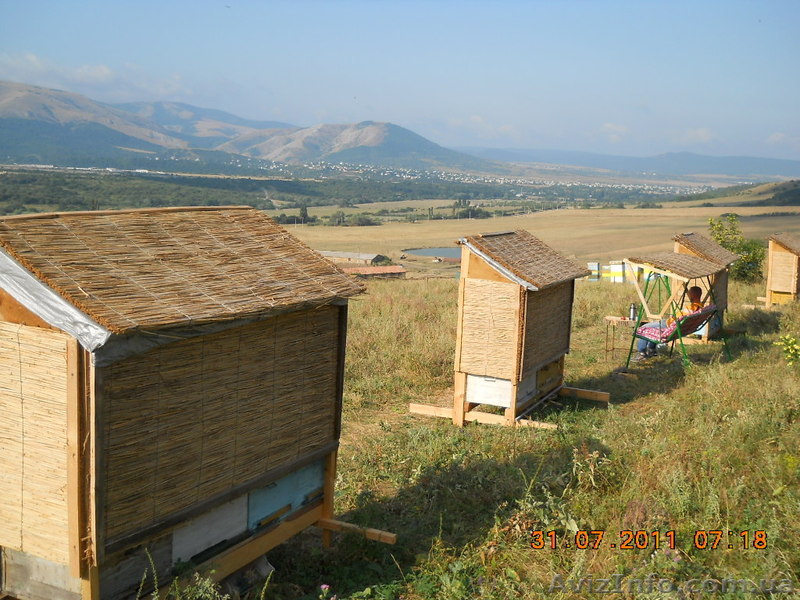 Зелёный туризм, сон на ульях - <ro>Изображение</ro><ru>Изображение</ru> #1, <ru>Объявление</ru> #374138