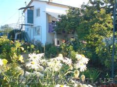 Отдых у моря в севастополе Северная сторона - <ro>Изображение</ro><ru>Изображение</ru> #1, <ru>Объявление</ru> #608766