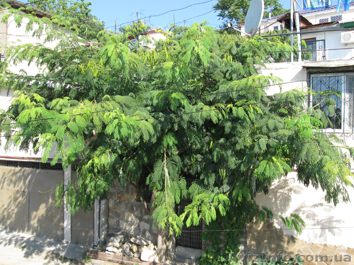 Квартира в 3 мин. от моря - <ro>Изображение</ro><ru>Изображение</ru> #1, <ru>Объявление</ru> #632509