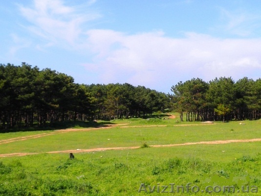 Участок Севастополь у Сапун горы - <ro>Изображение</ro><ru>Изображение</ru> #1, <ru>Объявление</ru> #633629