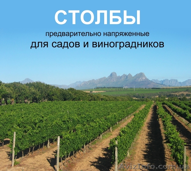 Виноградные железобетонные колья (столбики) - <ro>Изображение</ro><ru>Изображение</ru> #1, <ru>Объявление</ru> #673696