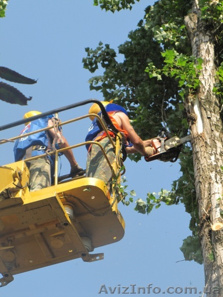 Удаление деревьев частями, удаление аварийных деревьев. - <ro>Изображение</ro><ru>Изображение</ru> #1, <ru>Объявление</ru> #680902