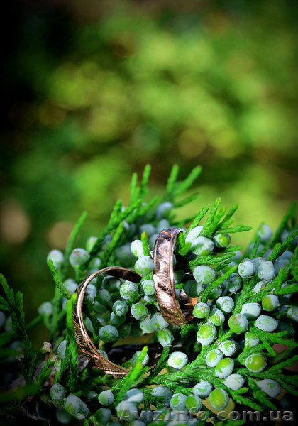 фотосъемка свадьбы - <ro>Изображение</ro><ru>Изображение</ru> #1, <ru>Объявление</ru> #443852