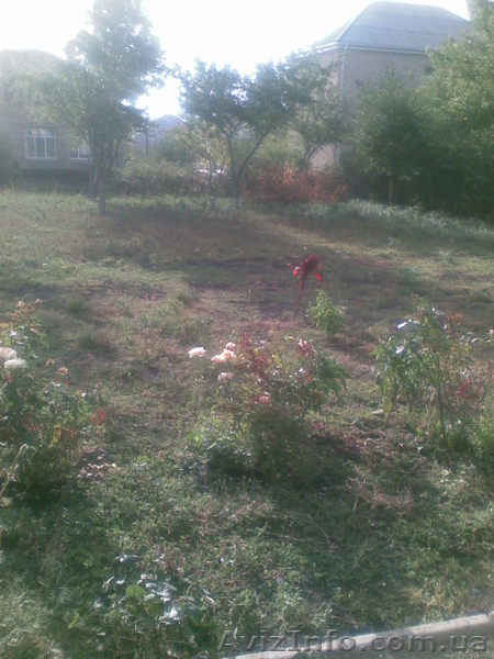 ПРОДАМ ПОЛ УЧАСТКАЮ... - <ro>Изображение</ro><ru>Изображение</ru> #1, <ru>Объявление</ru> #771363