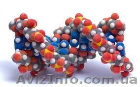 Тест ДНК (Генетическая экспертиза на отцовство, родство) - <ro>Изображение</ro><ru>Изображение</ru> #1, <ru>Объявление</ru> #781924