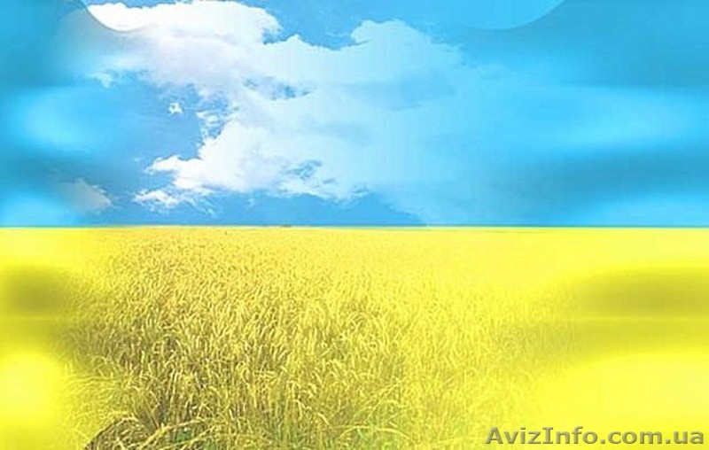 Выполняем перевод паспорта на украинский язык - <ro>Изображение</ro><ru>Изображение</ru> #1, <ru>Объявление</ru> #800622