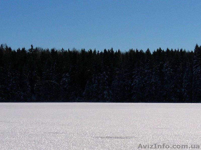 Лингвистический перевод документов и текстов с/на эстонский язык  - <ro>Изображение</ro><ru>Изображение</ru> #1, <ru>Объявление</ru> #802627