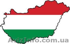 Перевод документов на венгерский/с венгерского языка  - <ro>Изображение</ro><ru>Изображение</ru> #1, <ru>Объявление</ru> #813228