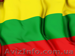 Перевод с/на литовский язык  - <ro>Изображение</ro><ru>Изображение</ru> #1, <ru>Объявление</ru> #802606