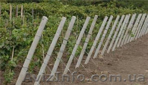 Куплю колья виноградные  - <ro>Изображение</ro><ru>Изображение</ru> #1, <ru>Объявление</ru> #828888