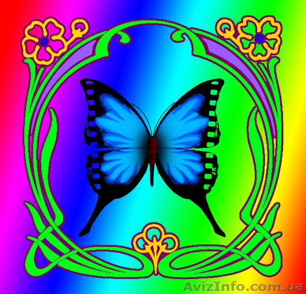 Видеосъёмка фотограф  - <ro>Изображение</ro><ru>Изображение</ru> #1, <ru>Объявление</ru> #826743