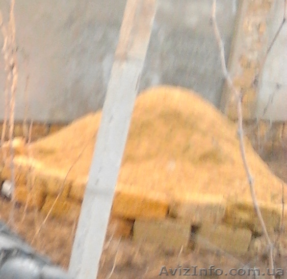 Тырса с доставкой.  - <ro>Изображение</ro><ru>Изображение</ru> #1, <ru>Объявление</ru> #1009117