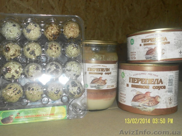 перепелиные яйца,консервы,мясо перепела - <ro>Изображение</ro><ru>Изображение</ru> #1, <ru>Объявление</ru> #1051522