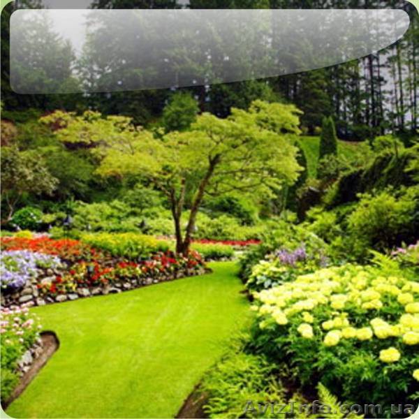 Ландшафтный дизайн. Курсы. Симферополь. - <ro>Изображение</ro><ru>Изображение</ru> #1, <ru>Объявление</ru> #1118593
