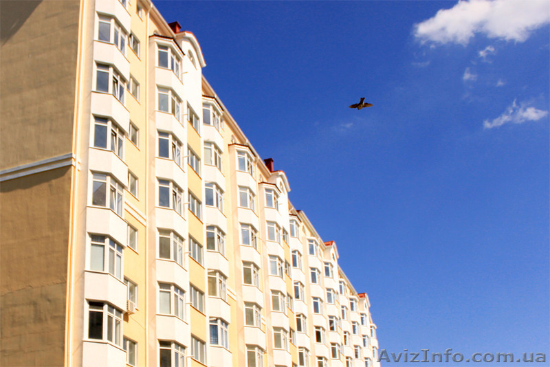 Коммерческие помещения свободного назначения на пр. Победы - <ro>Изображение</ro><ru>Изображение</ru> #1, <ru>Объявление</ru> #1151836