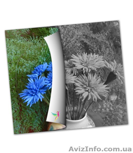 Раскраска черно белых фотографий и изображений - <ro>Изображение</ro><ru>Изображение</ru> #1, <ru>Объявление</ru> #1212667