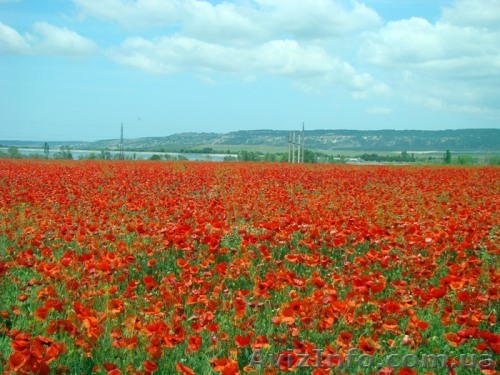 Срочно продам участок 5 соток г. Севастополь - <ro>Изображение</ro><ru>Изображение</ru> #1, <ru>Объявление</ru> #1334658