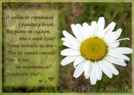 Программа «Как укрепить родовые связи и получить поддержку своего рода?» - <ro>Изображение</ro><ru>Изображение</ru> #1, <ru>Объявление</ru> #1502620