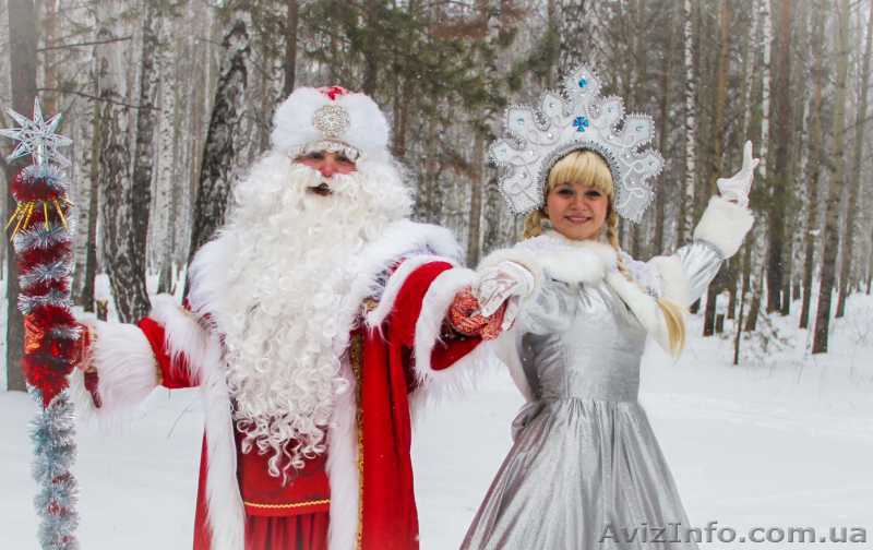 Сказка в дом! Дед Мороз, Снегурочка, и другие персонажи! - <ro>Изображение</ro><ru>Изображение</ru> #1, <ru>Объявление</ru> #1596880