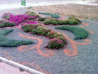 озеленение благустрйство территорий - <ro>Изображение</ro><ru>Изображение</ru> #3, <ru>Объявление</ru> #23524