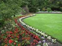 озеленение благустрйство территорий - <ro>Изображение</ro><ru>Изображение</ru> #1, <ru>Объявление</ru> #23524