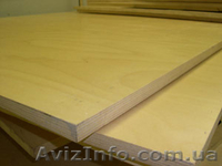 Фанера в ассортименте. - <ro>Изображение</ro><ru>Изображение</ru> #3, <ru>Объявление</ru> #33595