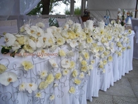 Свадьба в Крыму.Украшение праздников цветами от студии Лины Шуленко. - <ro>Изображение</ro><ru>Изображение</ru> #2, <ru>Объявление</ru> #39898