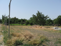 Таврчическая №259 - <ro>Изображение</ro><ru>Изображение</ru> #2, <ru>Объявление</ru> #41537