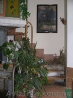 4-х комнатная квартира г. Симферополь, можно под бизнес - <ro>Изображение</ro><ru>Изображение</ru> #4, <ru>Объявление</ru> #44437