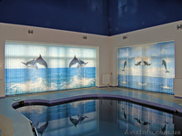 Вертикальные жалюзи с нанесением рисунка , логотипа или фотографии . - <ro>Изображение</ro><ru>Изображение</ru> #1, <ru>Объявление</ru> #143530