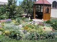 Ландшафтный дизайн, Севастополь - <ro>Изображение</ro><ru>Изображение</ru> #6, <ru>Объявление</ru> #184922