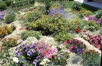 Ландшафтный дизайн, Севастополь - <ro>Изображение</ro><ru>Изображение</ru> #4, <ru>Объявление</ru> #184922