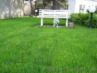 Ландшафтный дизайн, Севастополь - <ro>Изображение</ro><ru>Изображение</ru> #3, <ru>Объявление</ru> #184922