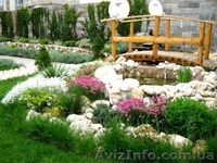 Ландшафтный дизайн, Севастополь - <ro>Изображение</ro><ru>Изображение</ru> #2, <ru>Объявление</ru> #184922