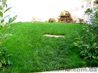 Ландшафтный дизайн, Севастополь - <ro>Изображение</ro><ru>Изображение</ru> #5, <ru>Объявление</ru> #184922