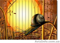 Фото жалюзи. Жалюзи с рисунком или логотипом, недорого. Симферополь, Крым  - <ro>Изображение</ro><ru>Изображение</ru> #8, <ru>Объявление</ru> #302735