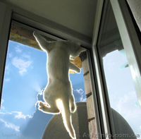 Москитные сетки рамочного и рулонного типа.  Недорого. Симферополь, Крым - <ro>Изображение</ro><ru>Изображение</ru> #4, <ru>Объявление</ru> #302795