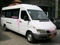 Свадебный Мерседес.Аренда авто на свадьбу.Симферополь, Ялта, Евпатория - <ro>Изображение</ro><ru>Изображение</ru> #5, <ru>Объявление</ru> #362597