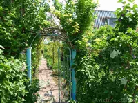 Продажа дачного участка в Сакском районе - <ro>Изображение</ro><ru>Изображение</ru> #2, <ru>Объявление</ru> #371716