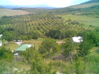 продам дом в крыму - <ro>Изображение</ro><ru>Изображение</ru> #2, <ru>Объявление</ru> #377977