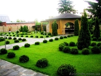 Курсы ландшафтного дизайна. - <ro>Изображение</ro><ru>Изображение</ru> #1, <ru>Объявление</ru> #441479