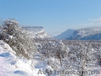 Новый Год в Крыму "В гостях у Астронома". - <ro>Изображение</ro><ru>Изображение</ru> #2, <ru>Объявление</ru> #435410
