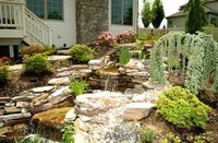 Курсы ландшафтного дизайна. - <ro>Изображение</ro><ru>Изображение</ru> #2, <ru>Объявление</ru> #441479